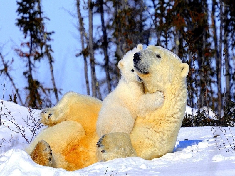 北京高龄试管大姐，试管 3胎 成功