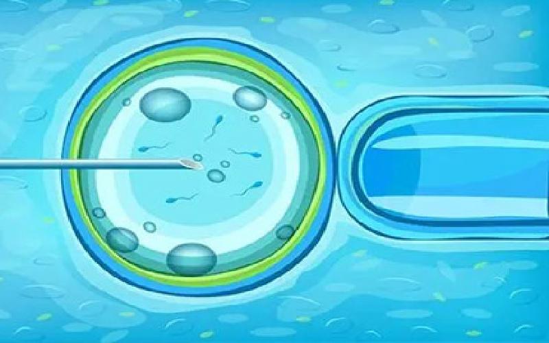 一英寸试管代生