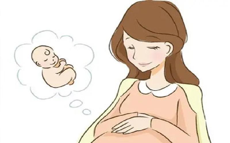 试管移植需要什么代生